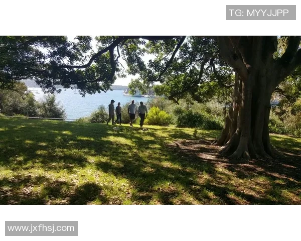 悉尼国王与新西兰破坏者对决前瞻及战术分析全面解读